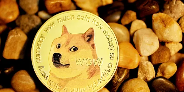 A coin with the image of doge on it.